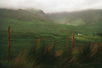 Pasture at Sneem	