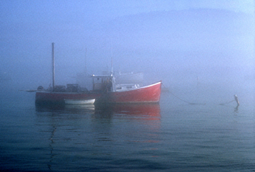 Lobster Boat and Fog	