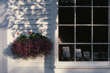 Shop Window