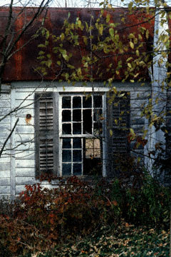 Window in Abandoned Farmhouse